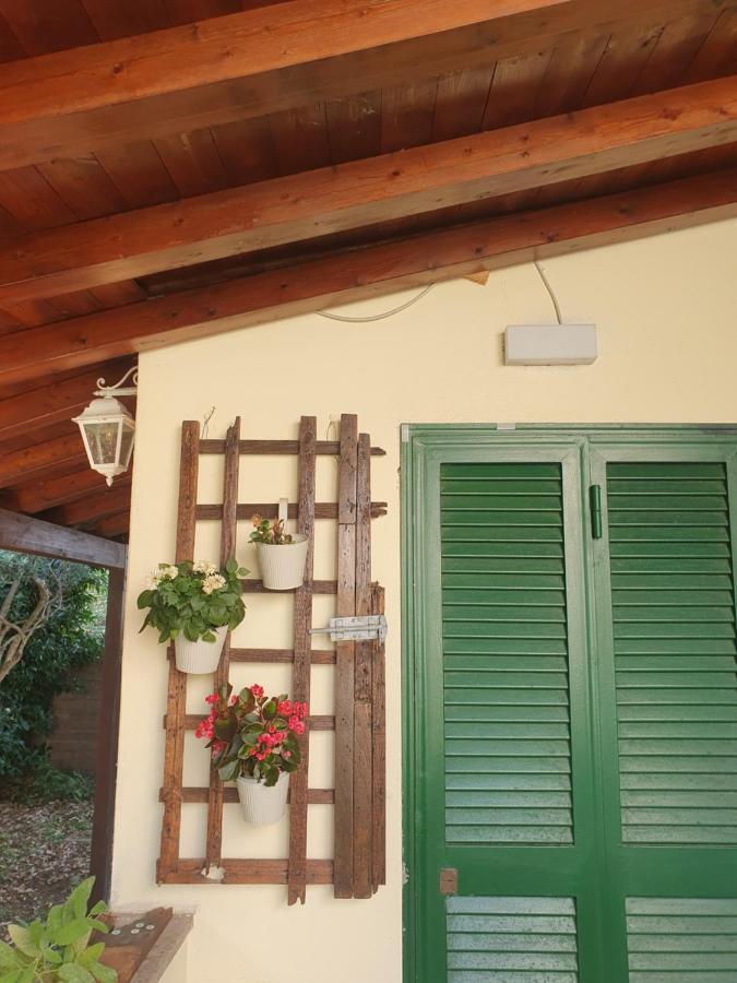 Andrea'S House Villa Fiumicino Esterno foto